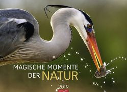Magische Momente der Natur – Kalender 2019 von Weingarten