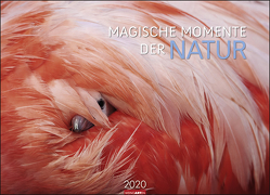 Magische Momente der Natur Kalender 2020 von Weingarten