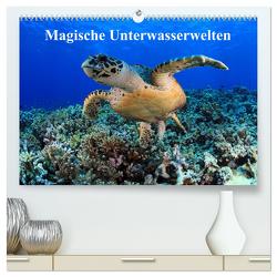 Magische Unterwasserwelten (hochwertiger Premium Wandkalender 2024 DIN A2 quer), Kunstdruck in Hochglanz von Hablützel,  Martin