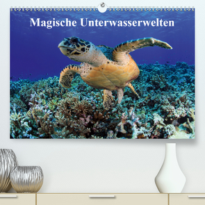 Magische Unterwasserwelten (Premium, hochwertiger DIN A2 Wandkalender 2021, Kunstdruck in Hochglanz) von Hablützel,  Martin
