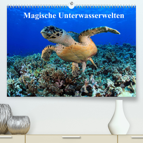 Magische Unterwasserwelten (Premium, hochwertiger DIN A2 Wandkalender 2022, Kunstdruck in Hochglanz) von Hablützel,  Martin