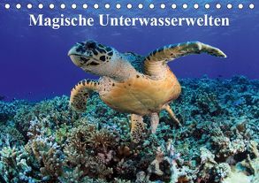 Magische Unterwasserwelten (Tischkalender 2019 DIN A5 quer) von Hablützel,  Martin