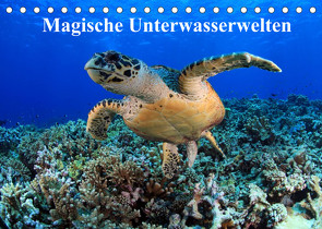 Magische Unterwasserwelten (Tischkalender 2022 DIN A5 quer) von Hablützel,  Martin