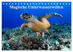 Magische Unterwasserwelten (Tischkalender 2024 DIN A5 quer), CALVENDO Monatskalender von Hablützel,  Martin