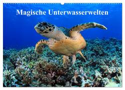 Magische Unterwasserwelten (Wandkalender 2024 DIN A2 quer), CALVENDO Monatskalender von Hablützel,  Martin
