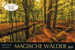 Magische Wälder 2024 von Korsch Verlag