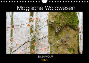 Magische Waldwesen (Wandkalender 2022 DIN A4 quer) von Wolff,  Ellen