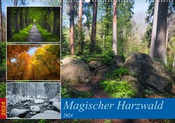 Magischer Harzwald (Wandkalender 2024 DIN A2 quer), CALVENDO Monatskalender von Gierok-Latniak,  Steffen