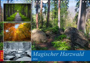 Magischer Harzwald (Wandkalender 2024 DIN A4 quer), CALVENDO Monatskalender von Gierok-Latniak,  Steffen