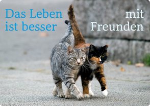 Magnet: Das Leben ist besser mit Freunden von Zintenz