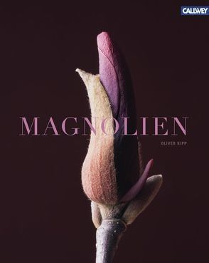 Magnolien von Kipp,  Oliver