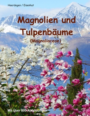 Magnolien und Tulpenbäume von Eisenhut,  Reto, Heerdegen,  Beat