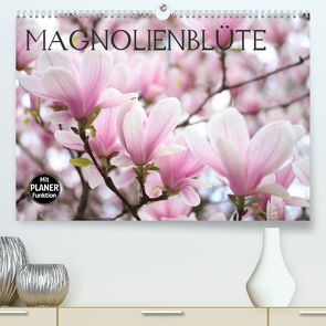 Magnolienblüte (Premium, hochwertiger DIN A2 Wandkalender 2023, Kunstdruck in Hochglanz) von Kruse,  Gisela
