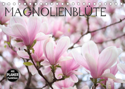 Magnolienblüte (Tischkalender 2023 DIN A5 quer) von Kruse,  Gisela