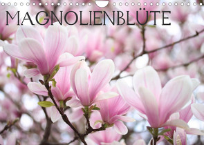 Magnolienblüte (Wandkalender 2023 DIN A4 quer) von Kruse,  Gisela