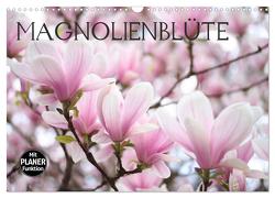 Magnolienblüte (Wandkalender 2024 DIN A3 quer), CALVENDO Monatskalender von Kruse,  Gisela