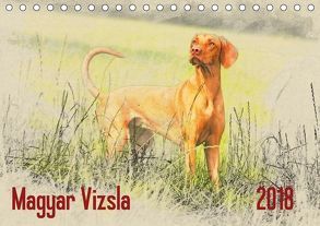 Magyar Vizsla 2018 (Tischkalender 2018 DIN A5 quer) von Redecker,  Andrea