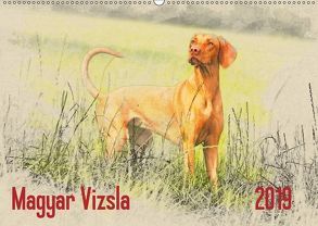 Magyar Vizsla 2019 (Wandkalender 2019 DIN A2 quer) von Redecker,  Andrea