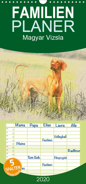 Magyar Vizsla 2020 – Familienplaner hoch (Wandkalender 2020 , 21 cm x 45 cm, hoch) von Redecker,  Andrea