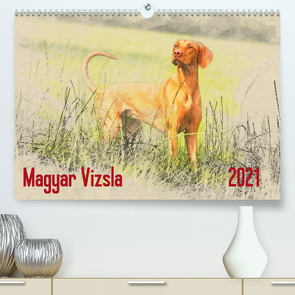 Magyar Vizsla 2021 (Premium, hochwertiger DIN A2 Wandkalender 2021, Kunstdruck in Hochglanz) von Redecker,  Andrea