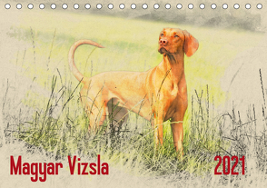 Magyar Vizsla 2021 (Tischkalender 2021 DIN A5 quer) von Redecker,  Andrea