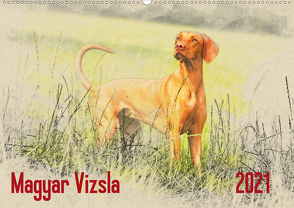 Magyar Vizsla 2021 (Wandkalender 2021 DIN A2 quer) von Redecker,  Andrea