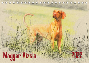 Magyar Vizsla 2022 (Tischkalender 2022 DIN A5 quer) von Redecker,  Andrea
