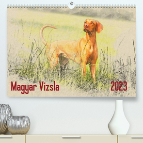 Magyar Vizsla 2023 (Premium, hochwertiger DIN A2 Wandkalender 2023, Kunstdruck in Hochglanz) von Redecker,  Andrea
