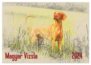 Magyar Vizsla 2024 (Tischkalender 2024 DIN A5 quer), CALVENDO Monatskalender von Redecker,  Andrea