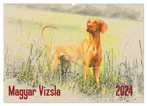 Magyar Vizsla 2024 (Wandkalender 2024 DIN A2 quer), CALVENDO Monatskalender von Redecker,  Andrea