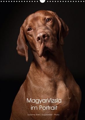 Magyar Vizsla im Portrait (Wandkalender 2018 DIN A3 hoch) von Stark Sugarsweet - Photo,  Susanne