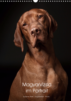 Magyar Vizsla im Portrait (Wandkalender 2021 DIN A3 hoch) von Stark Sugarsweet - Photo,  Susanne