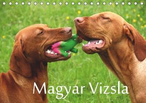 Magyar Vizsla (Tischkalender 2019 DIN A5 quer) von Grüttner,  Kerstin