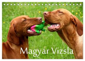 Magyar Vizsla (Tischkalender 2024 DIN A5 quer), CALVENDO Monatskalender von Grüttner,  Kerstin