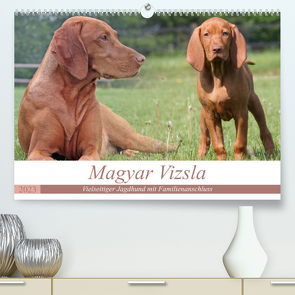 Magyar Vizsla – Vielseitiger Jagdhund mit Familienanschluss (Premium, hochwertiger DIN A2 Wandkalender 2023, Kunstdruck in Hochglanz) von Mielewczyk,  Barbara