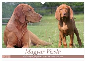 Magyar Vizsla – Vielseitiger Jagdhund mit Familienanschluss (Wandkalender 2024 DIN A3 quer), CALVENDO Monatskalender von Mielewczyk,  Barbara