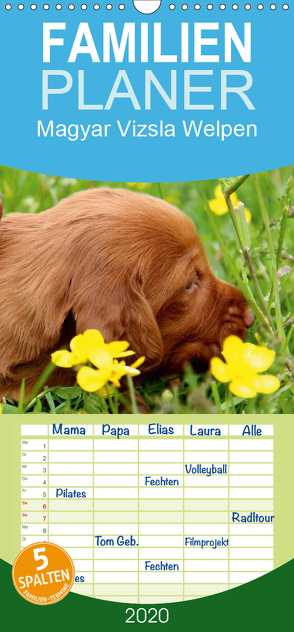 Magyar Vizsla Welpen – Familienplaner hoch (Wandkalender 2020 , 21 cm x 45 cm, hoch) von Grüttner,  Kerstin