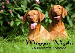 Magyar Vizsla – Zauberhafte Kobolde (Wandkalender 2018 DIN A3 quer) von Grüttner,  Kerstin