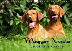 Magyar Vizsla – Zauberhafte Kobolde (Wandkalender 2018 DIN A4 quer) von Grüttner,  Kerstin