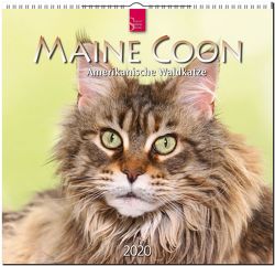 Maine Coon – Amerikanische Waldkatze von Redaktion Verlagshaus Würzburg,  Bildagentur