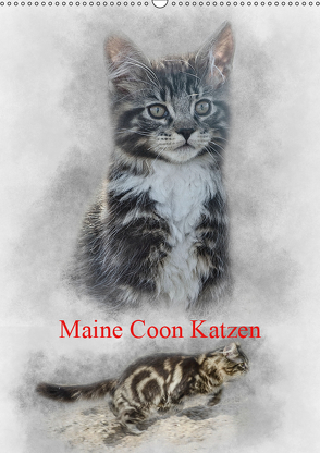 Maine Coon Katzen (Wandkalender 2019 DIN A2 hoch) von Gaymard,  Alain