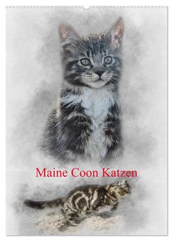 Maine Coon Katzen (Wandkalender 2024 DIN A2 hoch), CALVENDO Monatskalender von Gaymard,  Alain