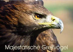 Majestätische Greifvögel (Wandkalender 2023 DIN A2 quer) von Dürr,  Brigitte