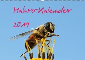 Makro-Kalender 2019 (Wandkalender 2019 DIN A2 quer) von Witkowski,  Bernd