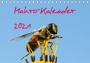 Makro-Kalender 2021 (Tischkalender 2021 DIN A5 quer) von Witkowski,  Bernd