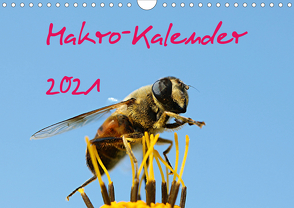 Makro-Kalender 2021 (Wandkalender 2021 DIN A4 quer) von Witkowski,  Bernd