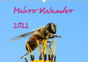 Makro-Kalender 2022 (Wandkalender 2022 DIN A3 quer) von Witkowski,  Bernd