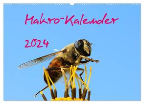 Makro-Kalender 2024 (Wandkalender 2024 DIN A2 quer), CALVENDO Monatskalender von Witkowski,  Bernd