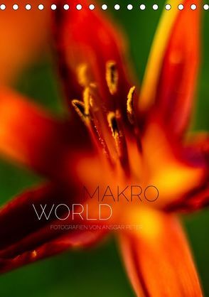 Makro World (Tischkalender 2019 DIN A5 hoch) von Peter,  Ansgar