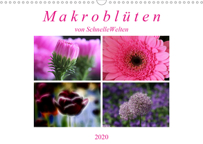 Makroblüten (Wandkalender 2020 DIN A3 quer) von SchnelleWelten